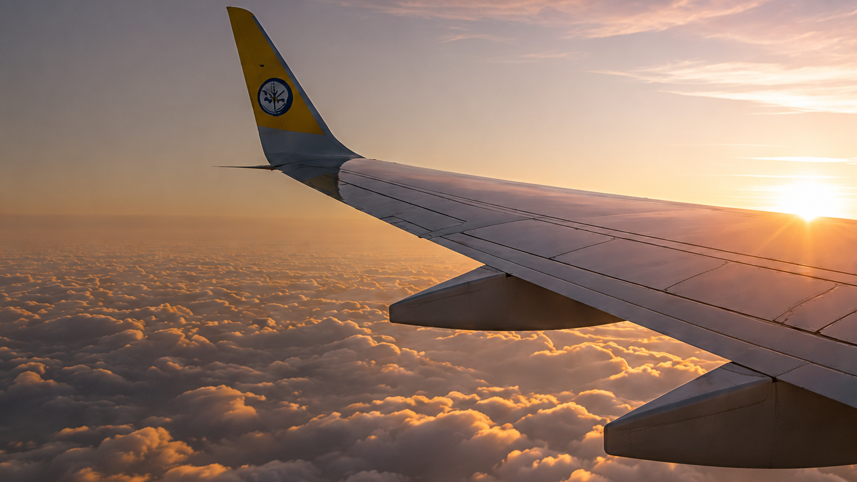 Plane Wing